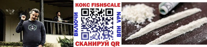 блэк спрут вход  Краснознаменск  Cocaine Fish Scale  купить  цена 