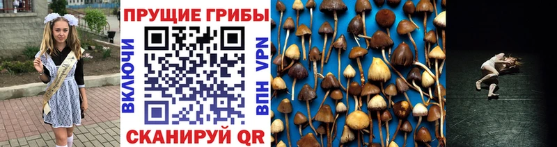 мега ссылка  Краснознаменск  Псилоцибиновые грибы MAGIC MUSHROOMS 