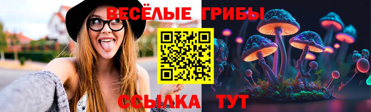 Псилоцибиновые грибы Magic Shrooms  Псилоцибиновые грибы Psilocybe  Краснознаменск  Вход с VPN 